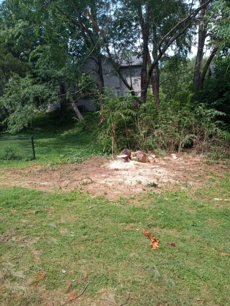 Affordable yard cleanup service in Shelbyville, IN by Alpha Dog Tree Service & Lawn Care