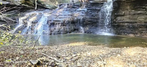 Alpha Home Services Logo