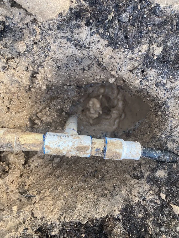 Reliable yard maintenance in El Paso, TX by Alpha Innovations Construction & Remodeling