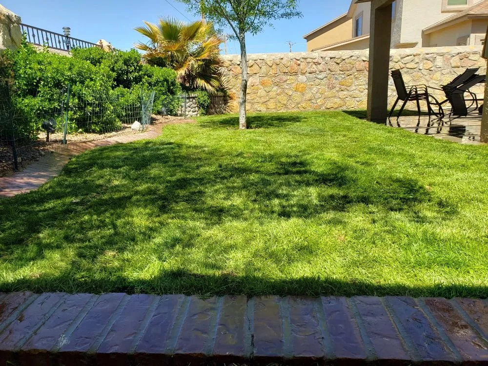 Affordable landscaping services in El Paso, TX - Alpha Innovations Construction & Remodeling