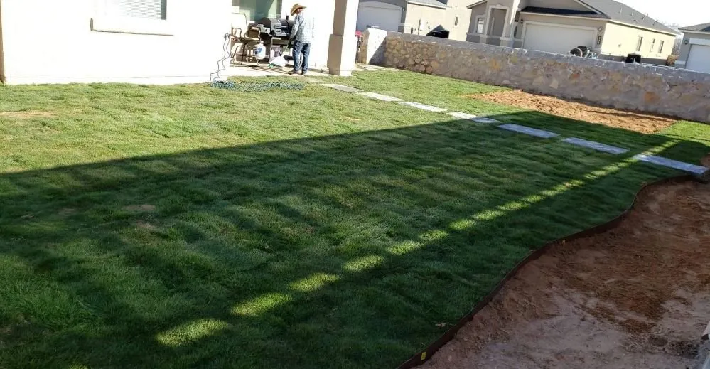 Reliable yard maintenance in El Paso, TX - Alpha Innovations Construction & Remodeling