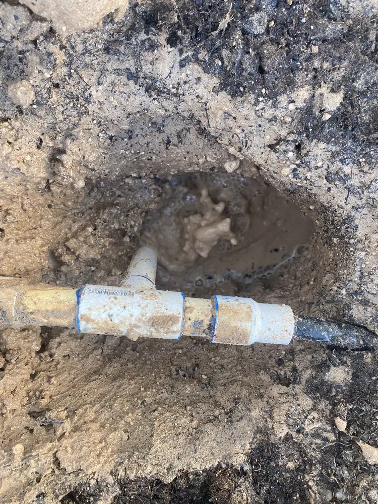 Top-rated landscape installation for year-round maintenance in El Paso, TX by Alpha Innovations Construction & Remodeling