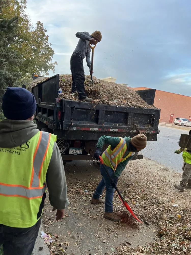 Custom landscape design experts serving Burnsville, MN - Alpha Land Care and Snow Removal