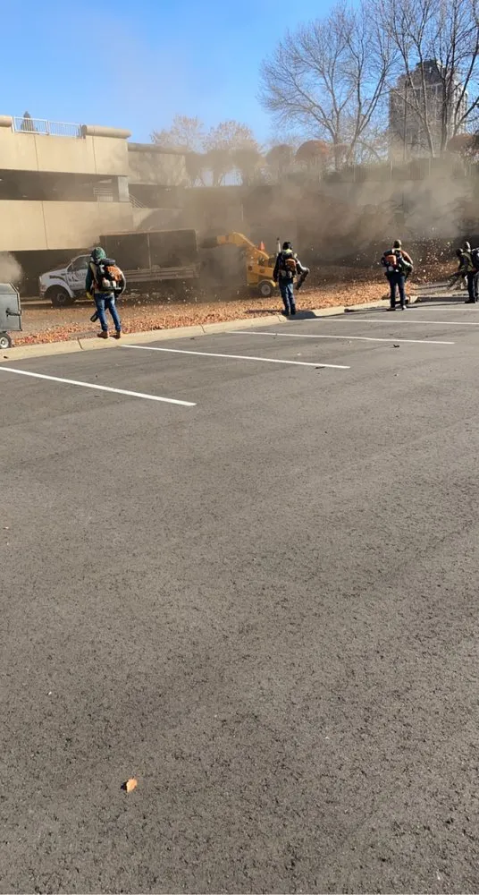 Professional landscape installation near you in Burnsville, MN by Alpha Land Care and Snow Removal