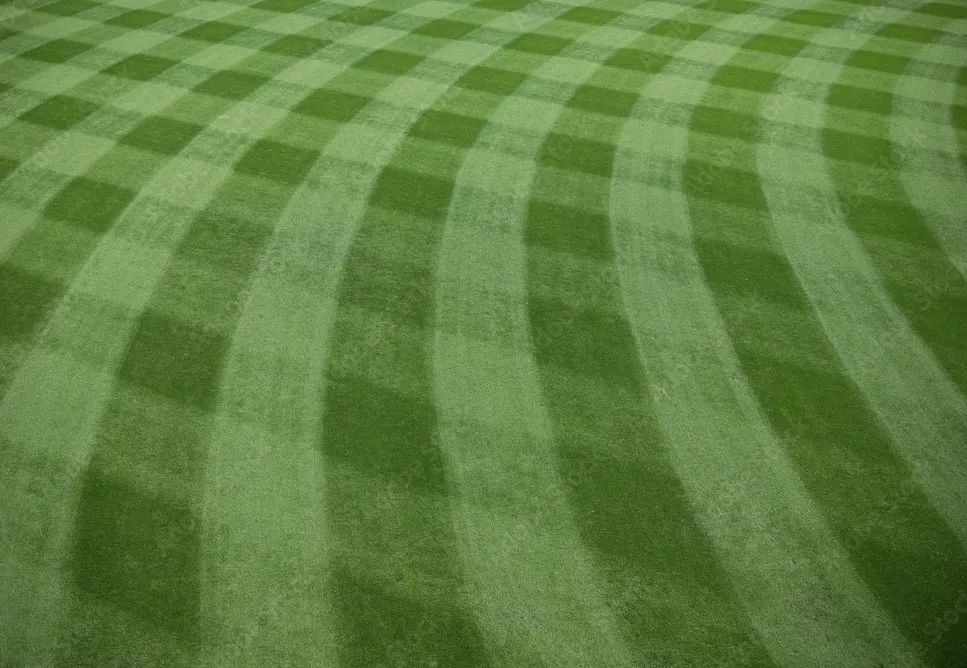 Custom yard maintenance in Burnsville, MN - Alpha Land Care and Snow Removal