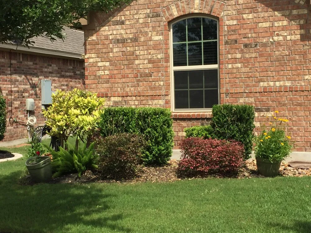 Reliable lawn care service near you in Helotes, TX by Alpha Landscape and Lawn Services