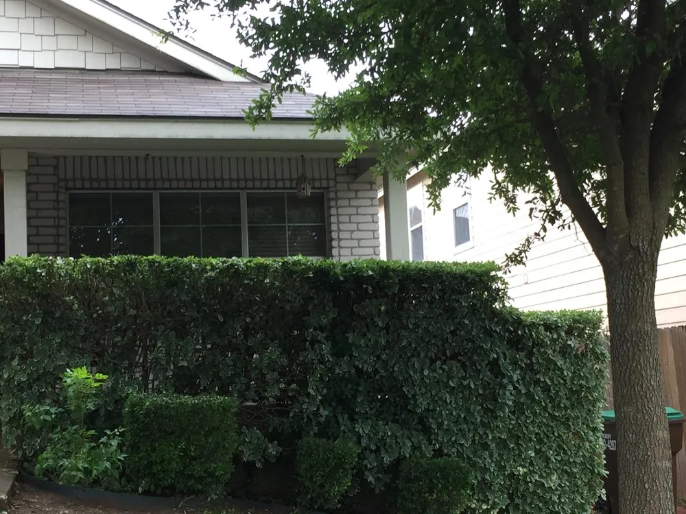 Trusted yard cleanup service for residential properties in Helotes, TX by Alpha Landscape and Lawn Services