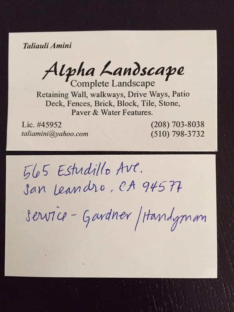 Trusted yard maintenance experts serving San Leandro, CA - Alpha Landscape