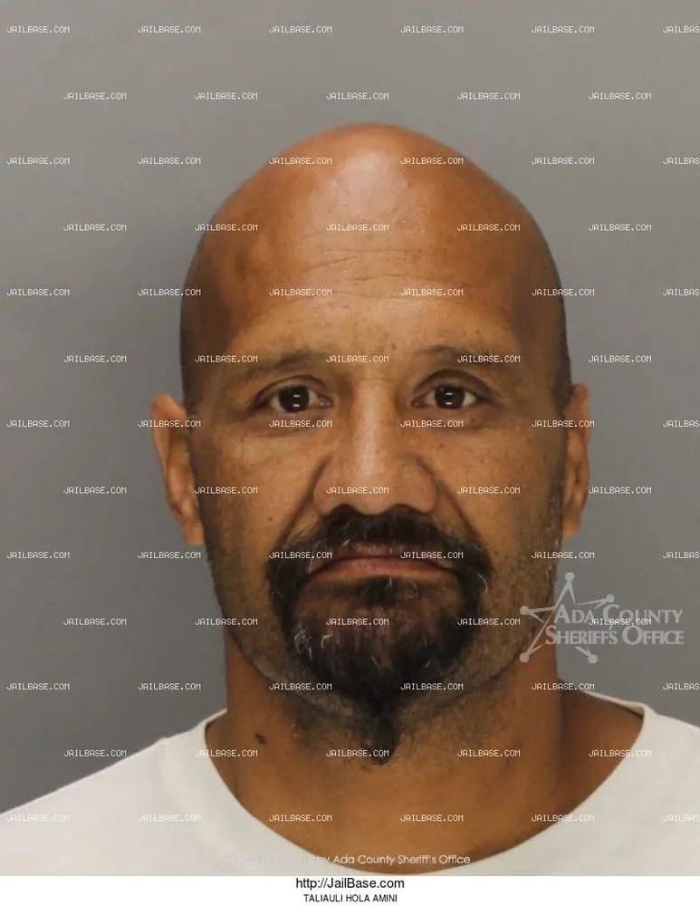 Local lawn mowing service experts serving San Leandro, CA - Alpha Landscape