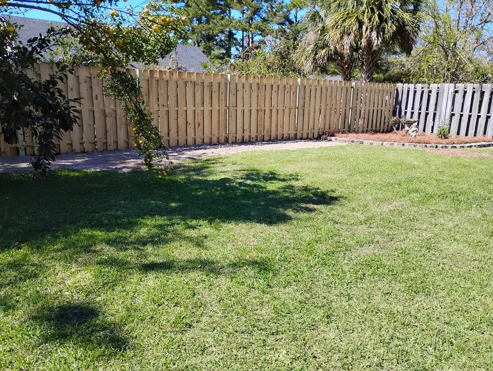 Trusted landscaping services experts serving Adel, GA - Alpha Landscapes