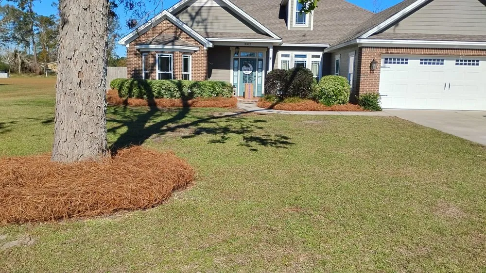 Professional outdoor landscaping in Adel, GA by Alpha Landscapes