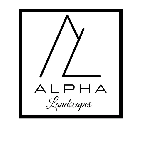 Professional yard cleanup service for outdoor upgrades across Culpeper, VA - Alpha Landscapes
