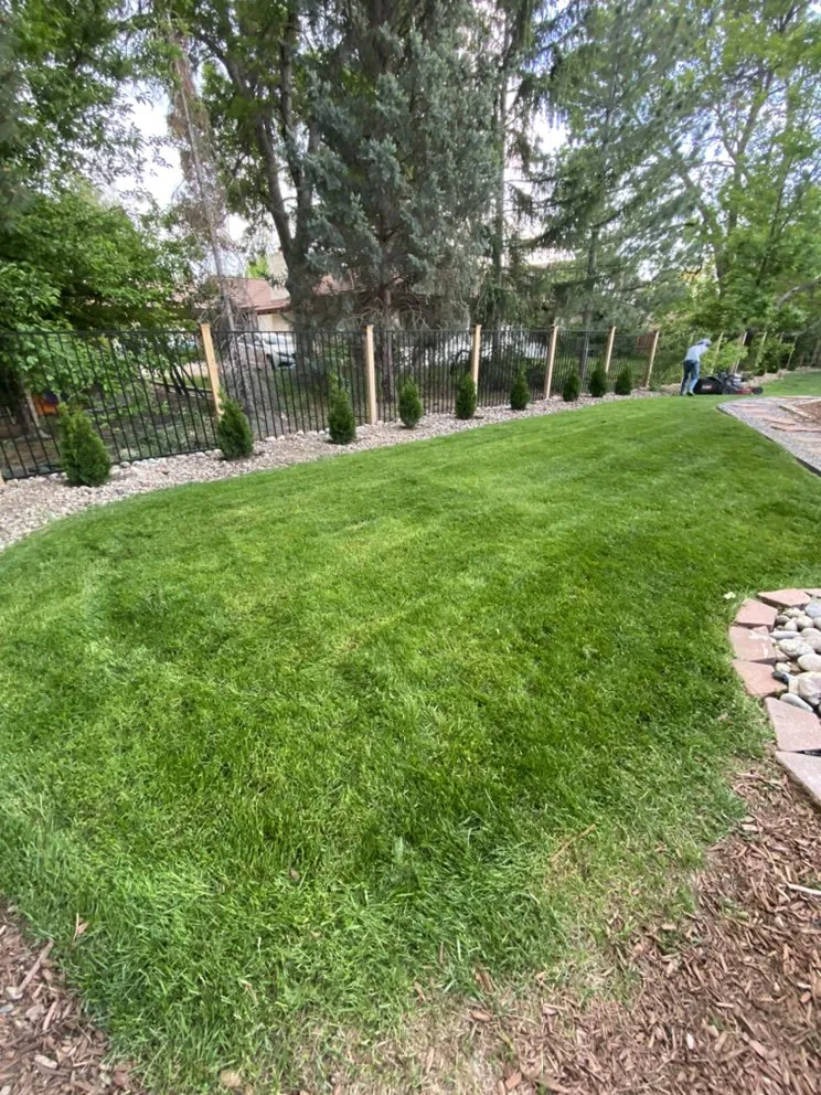 Local landscape design in Niwot, CO - Alpha Landscapes
