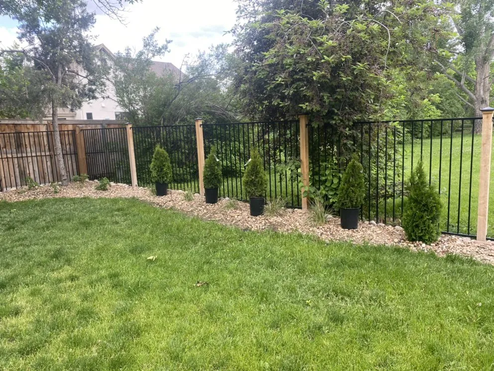 Professional yard maintenance in Niwot, CO - Alpha Landscapes