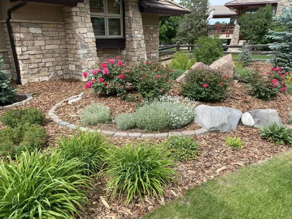 Top-rated yard maintenance experts serving Niwot, CO - Alpha Landscapes