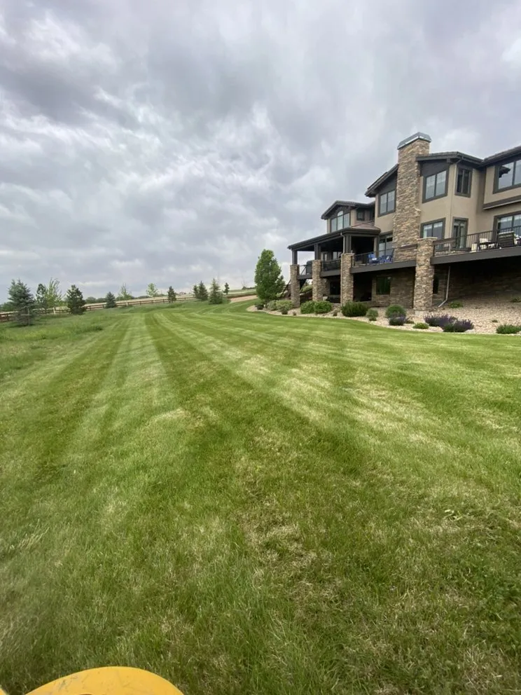 Reliable garden landscaping with custom design in Niwot, CO by Alpha Landscapes