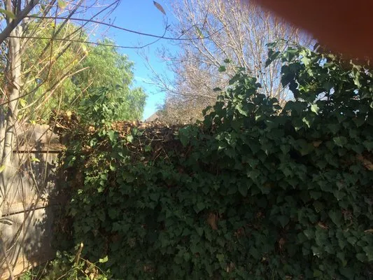 Alpha Landscaping & Maintenance