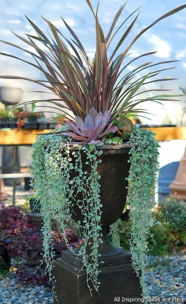 Trusted garden landscaping for outdoor upgrades in Reno, NV by Alpha Landscaping Custom Design