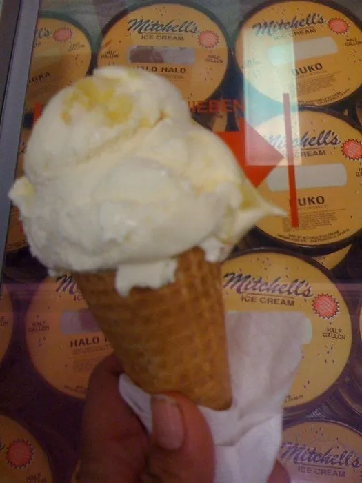 Top-rated landscape design for outdoor upgrades across Reno, NV - Alpha Landscaping Custom Design