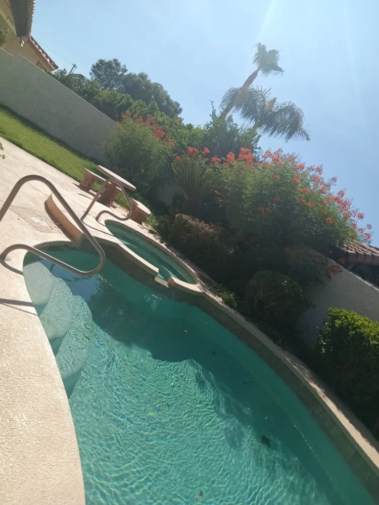 Professional landscaping services for beautiful yards in Desert Hot Springs, CA by Alpha Landscaping