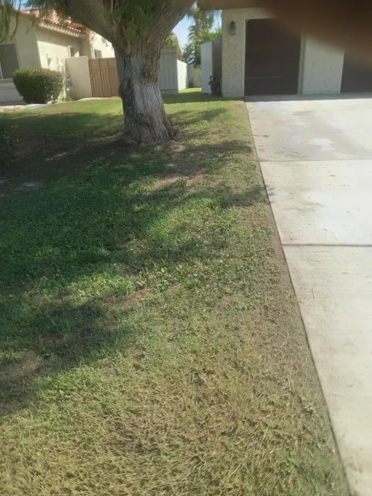 Reliable landscaping services experts serving Desert Hot Springs, CA - Alpha Landscaping