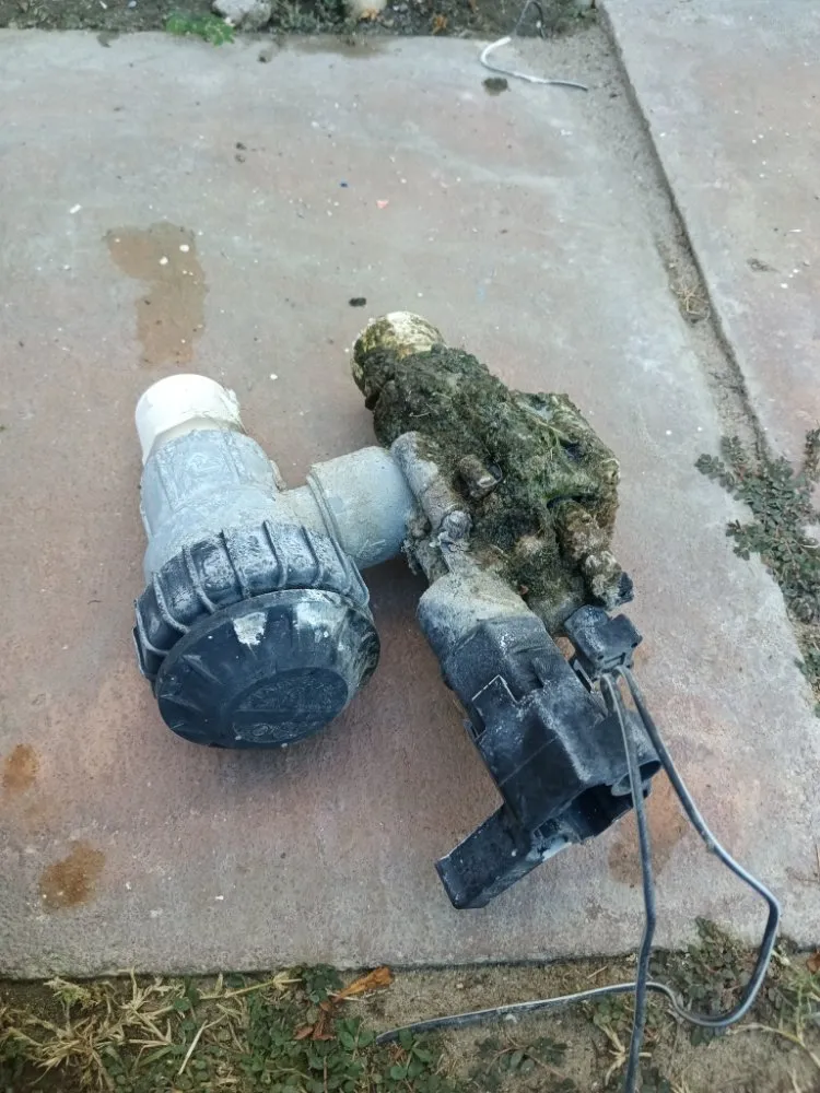 Professional lawn care service near you across Desert Hot Springs, CA - Alpha Landscaping