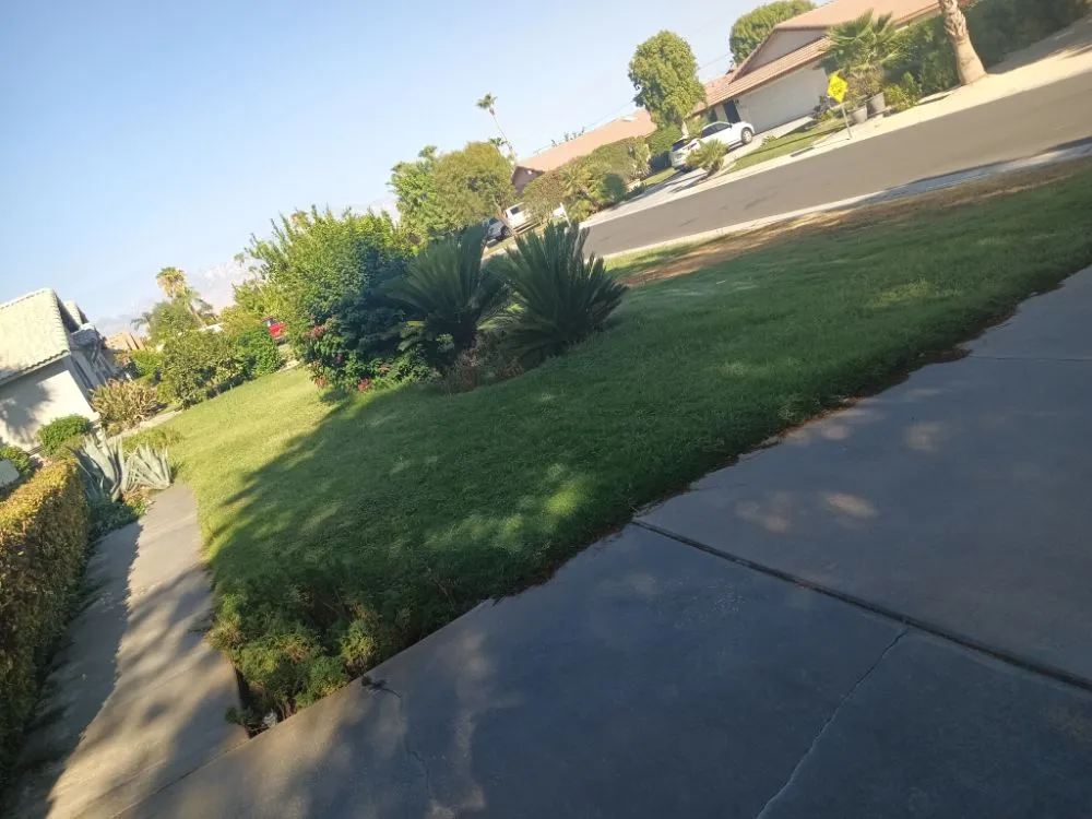 Top-rated outdoor landscaping with custom design in Desert Hot Springs, CA by Alpha Landscaping