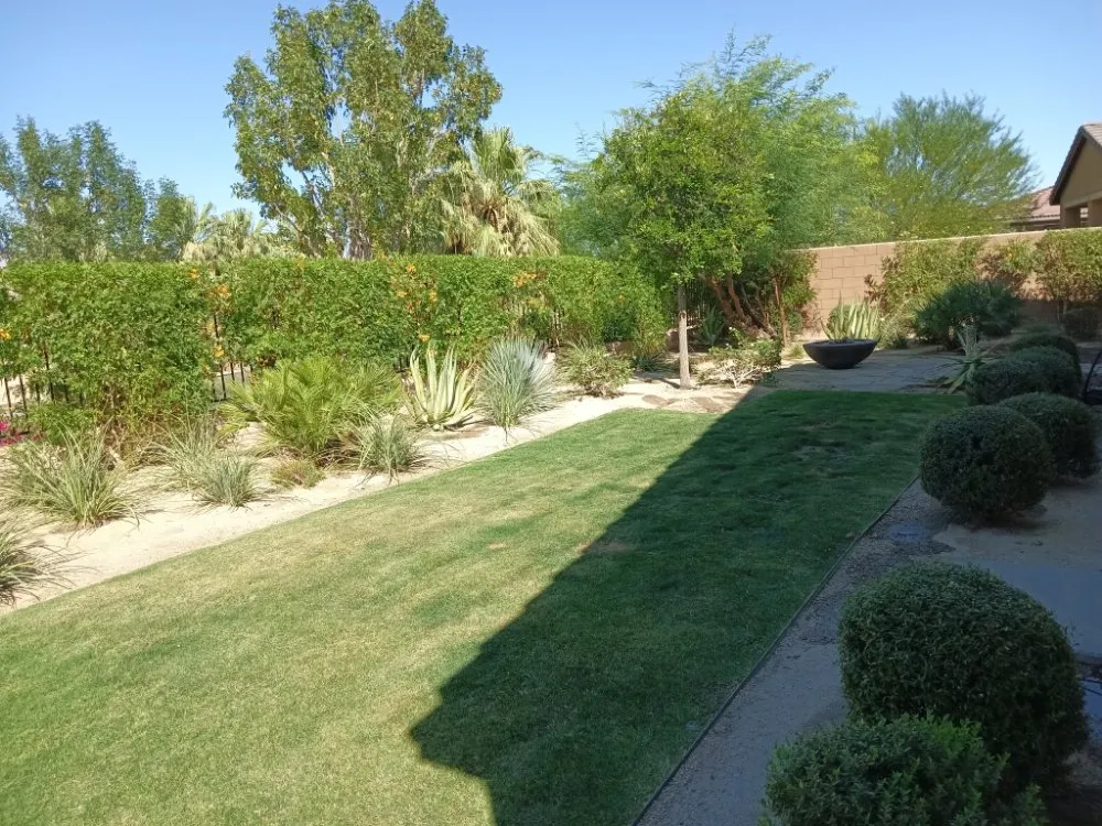 Affordable outdoor landscaping experts serving Desert Hot Springs, CA - Alpha Landscaping