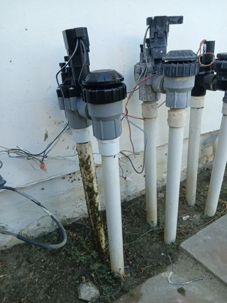 Local landscaping services experts serving Desert Hot Springs, CA - Alpha Landscaping