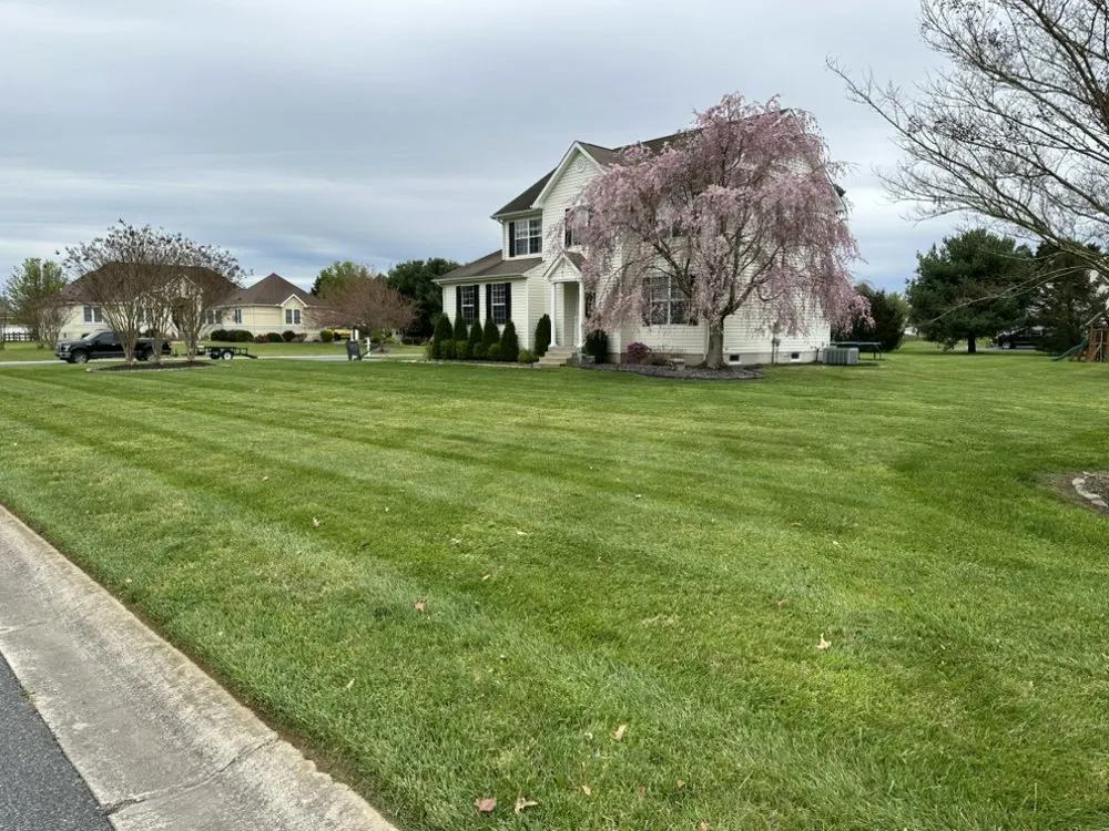 Top-rated yard cleanup service in Smyrna, DE - Alpha Landscaping Lawn Care and Pressure Washing