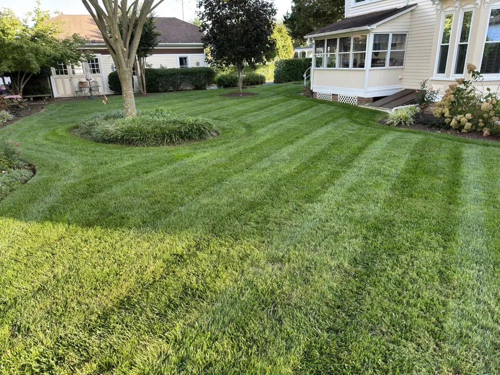 Trusted yard cleanup service for homes in Smyrna, DE by Alpha Landscaping Lawn Care and Pressure Washing