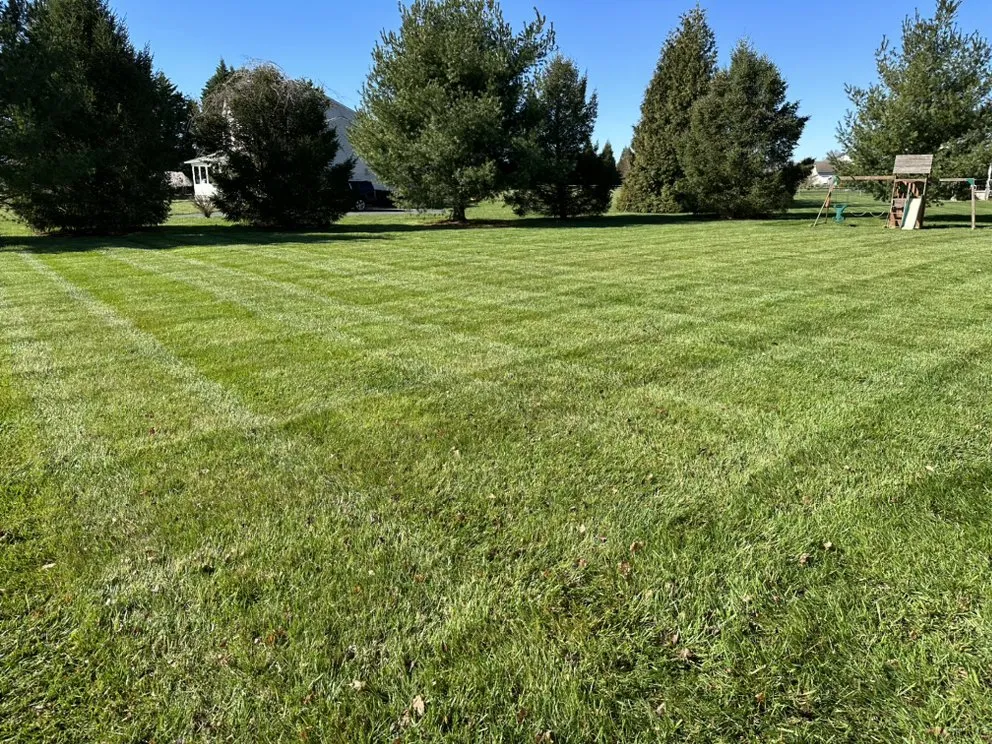 Custom yard maintenance in Smyrna, DE - Alpha Landscaping Lawn Care and Pressure Washing