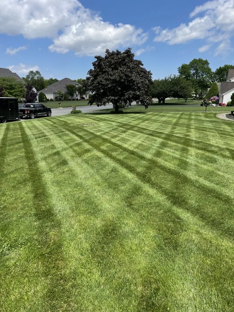 Local landscaping services in Smyrna, DE by Alpha Landscaping Lawn Care and Pressure Washing