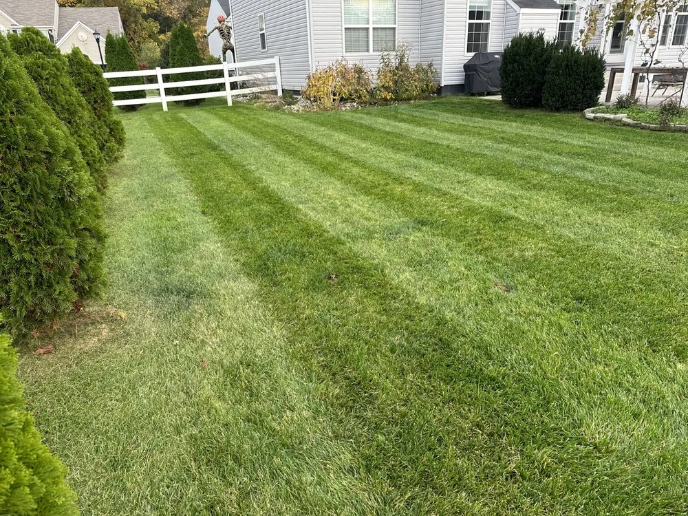 Trusted landscape installation with custom design in Smyrna, DE by Alpha Landscaping Lawn Care and Pressure Washing
