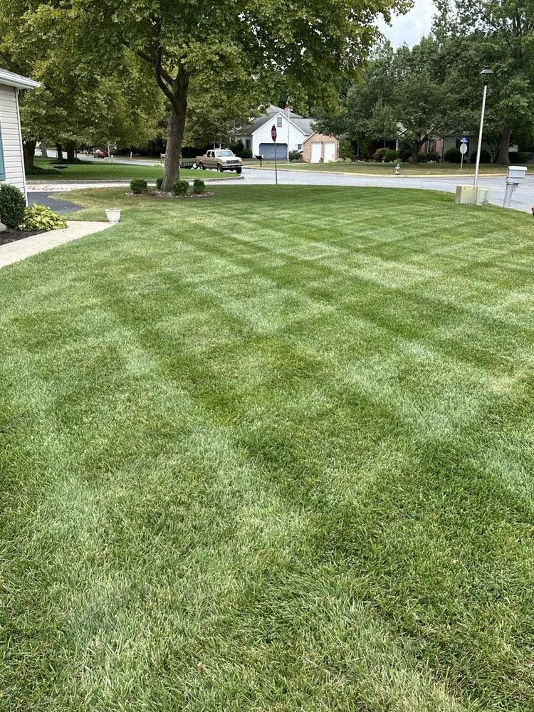 Reliable landscaping services in Smyrna, DE by Alpha Landscaping Lawn Care and Pressure Washing