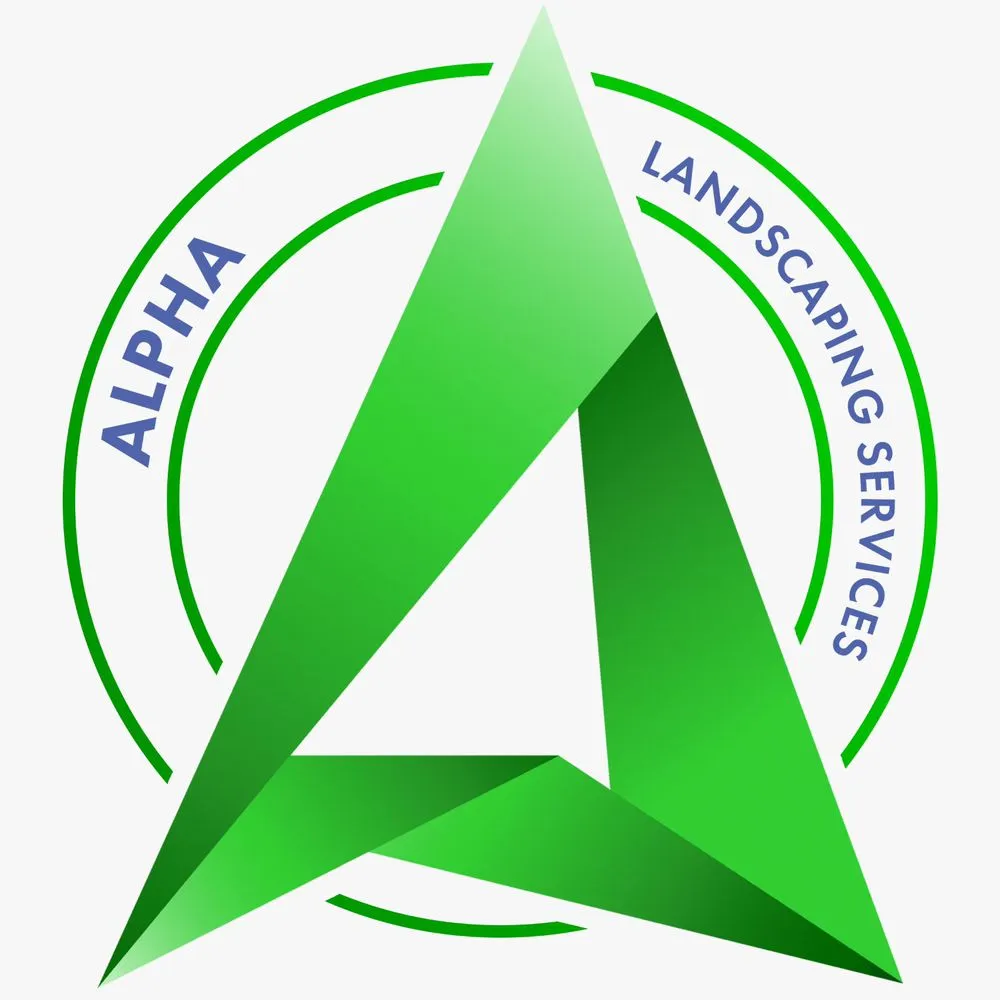 Local yard maintenance for beautiful yards across McAllen, TX - Alpha Landscaping