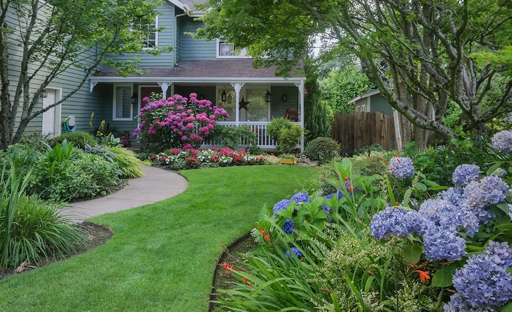 Expert lawn care service in Philadelphia, PA by alpha landscaping