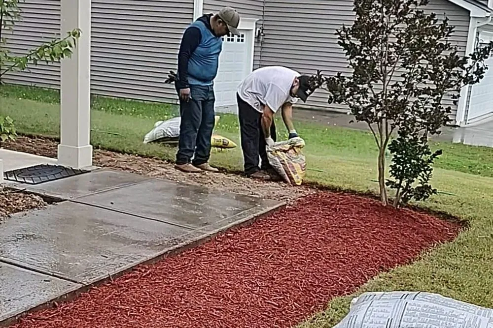 Reliable yard cleanup service experts serving Sanford, NC - Alpha Landscaping Services