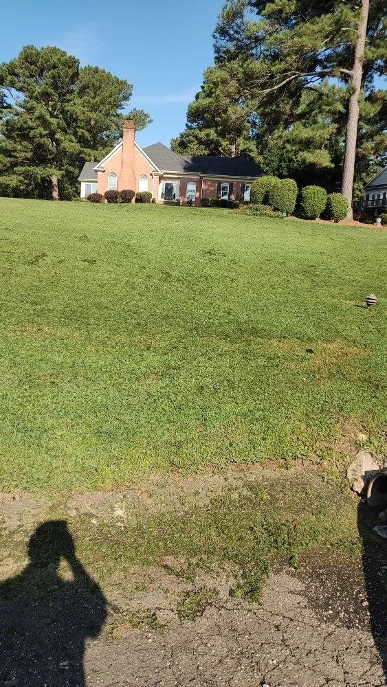 Reliable yard maintenance for year-round maintenance across Sanford, NC - Alpha Landscaping Services