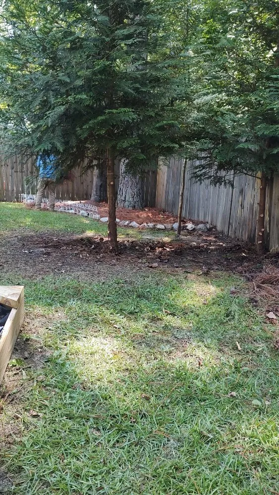 Top-rated yard maintenance in Sanford, NC - Alpha Landscaping Services