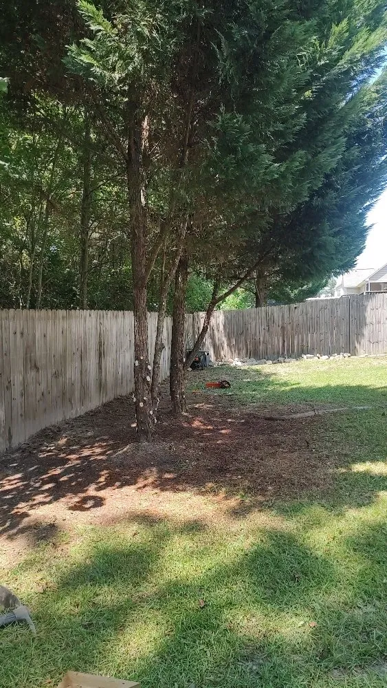 Trusted outdoor landscaping in Sanford, NC by Alpha Landscaping Services