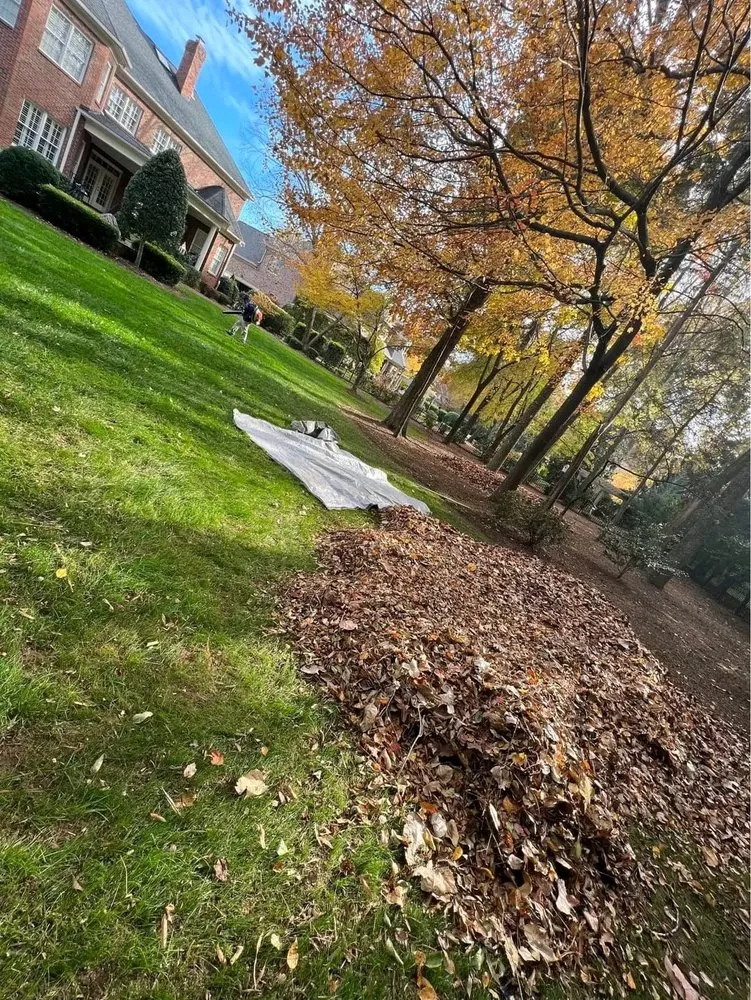 Top-rated landscape design near you in Sanford, NC by Alpha Landscaping Services