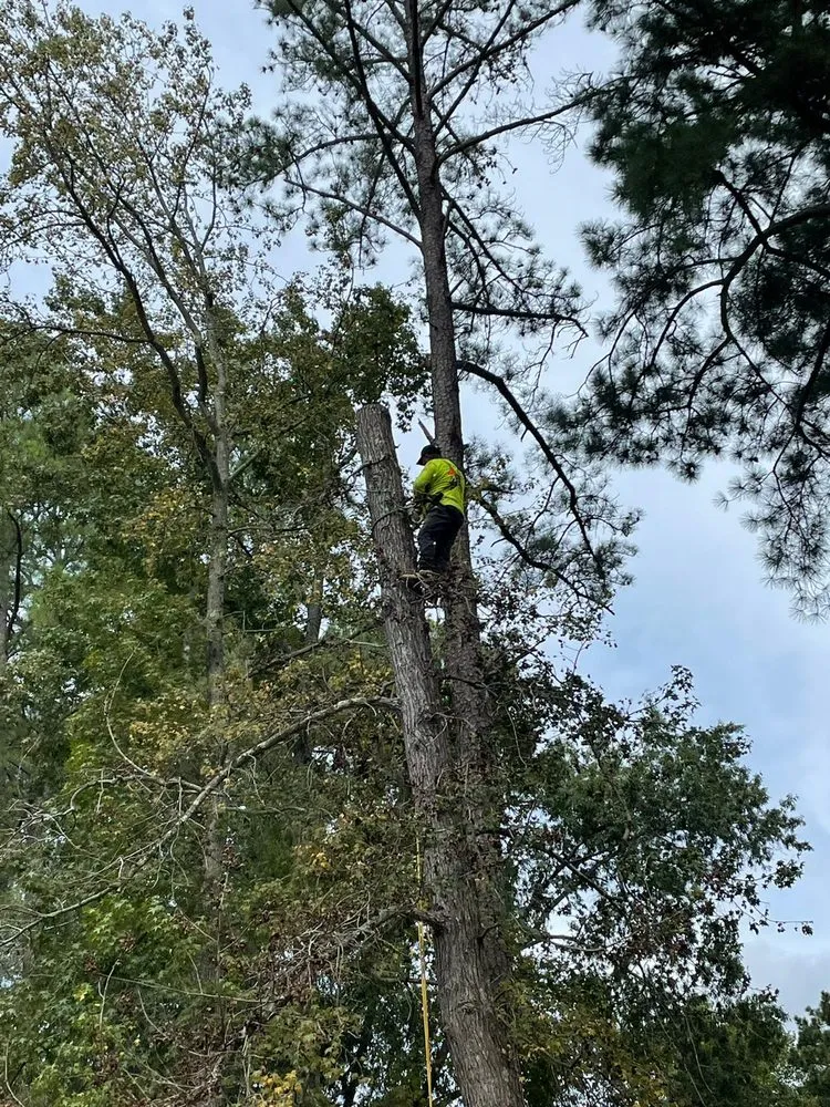 Custom outdoor landscaping experts serving Sanford, NC - Alpha Landscaping Services