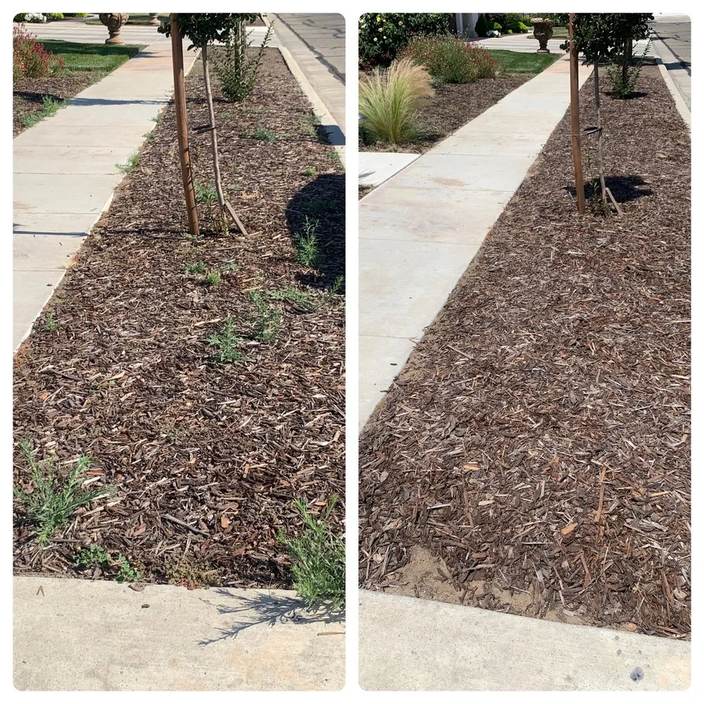 Reliable garden landscaping for outdoor upgrades across Exeter, CA - Alpha Lawn And Landscape