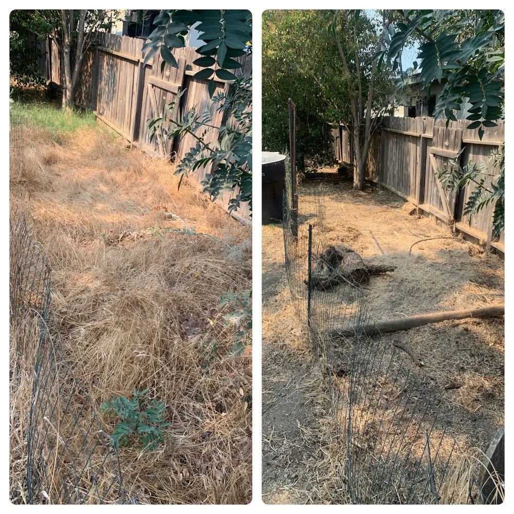 Professional residential landscaping for outdoor upgrades across Exeter, CA - Alpha Lawn And Landscape