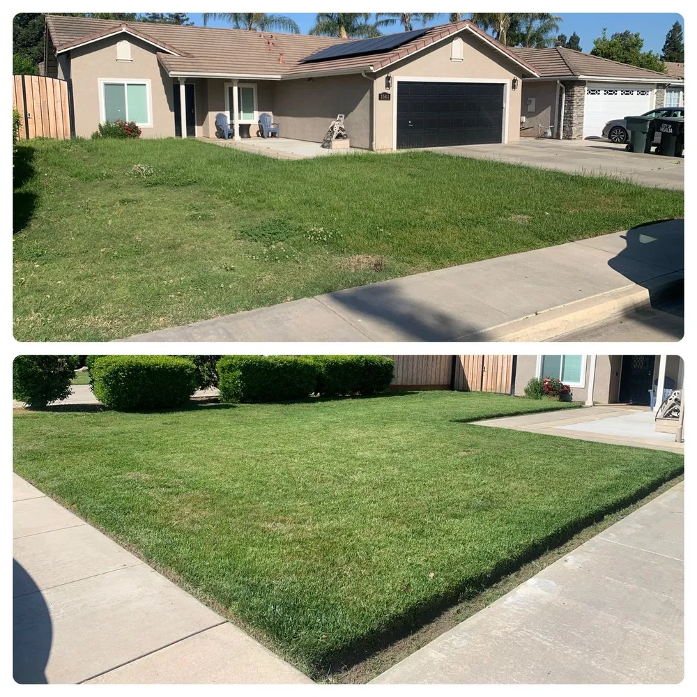 Local residential landscaping in Exeter, CA - Alpha Lawn And Landscape