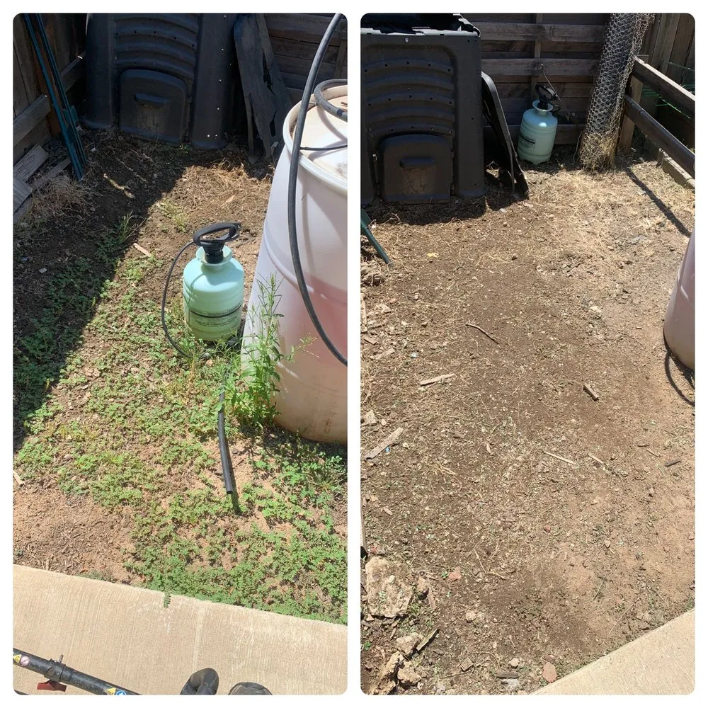 Local residential landscaping in Exeter, CA by Alpha Lawn And Landscape