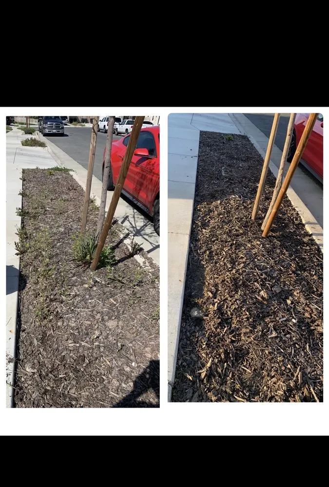 Custom landscape installation in Exeter, CA by Alpha Lawn And Landscape