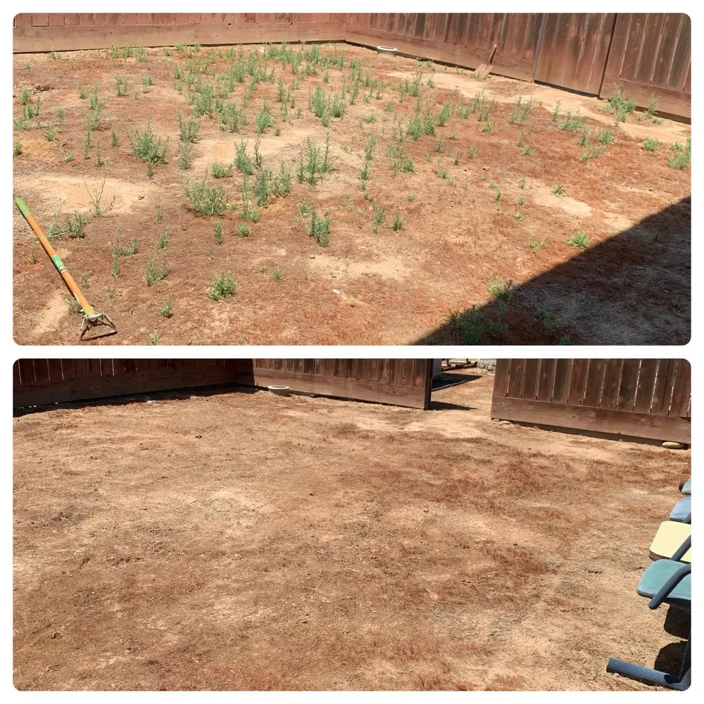 Affordable landscape installation for residential properties across Exeter, CA - Alpha Lawn And Landscape