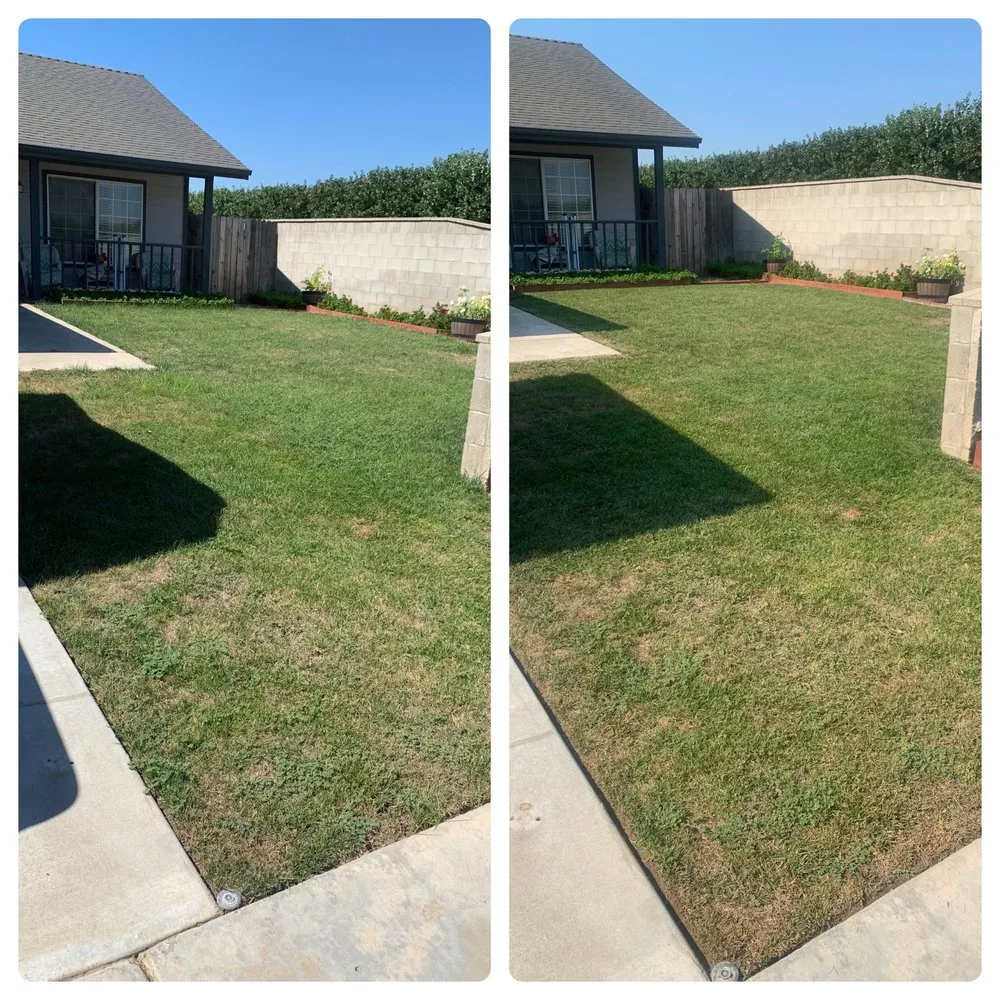 Professional landscaping services for year-round maintenance in Exeter, CA by Alpha Lawn And Landscape